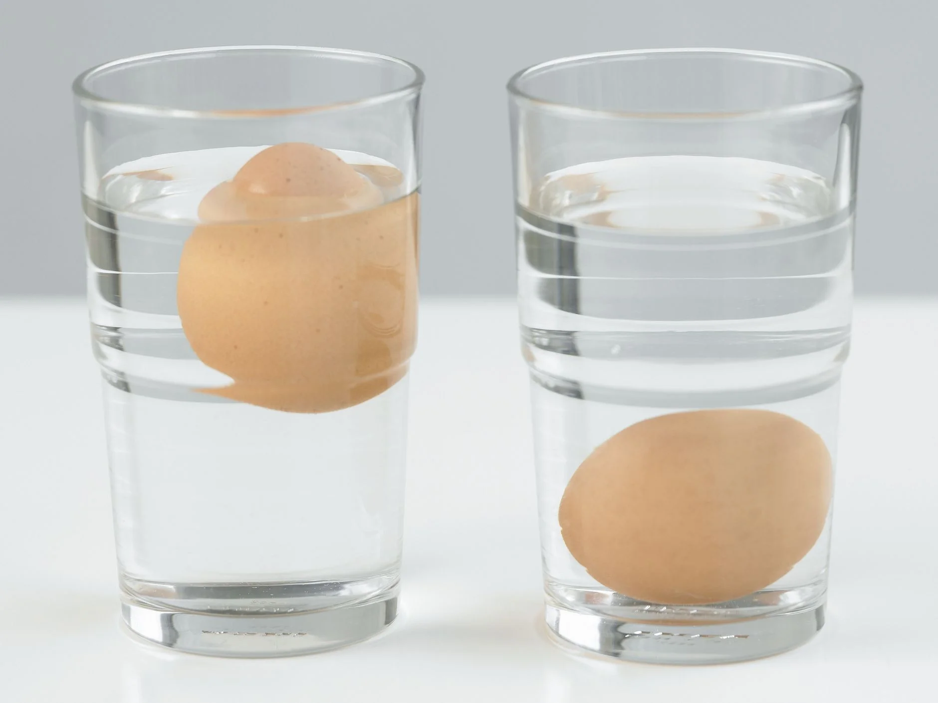 Cara mengecek telur