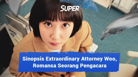 extraordinary attorney woo