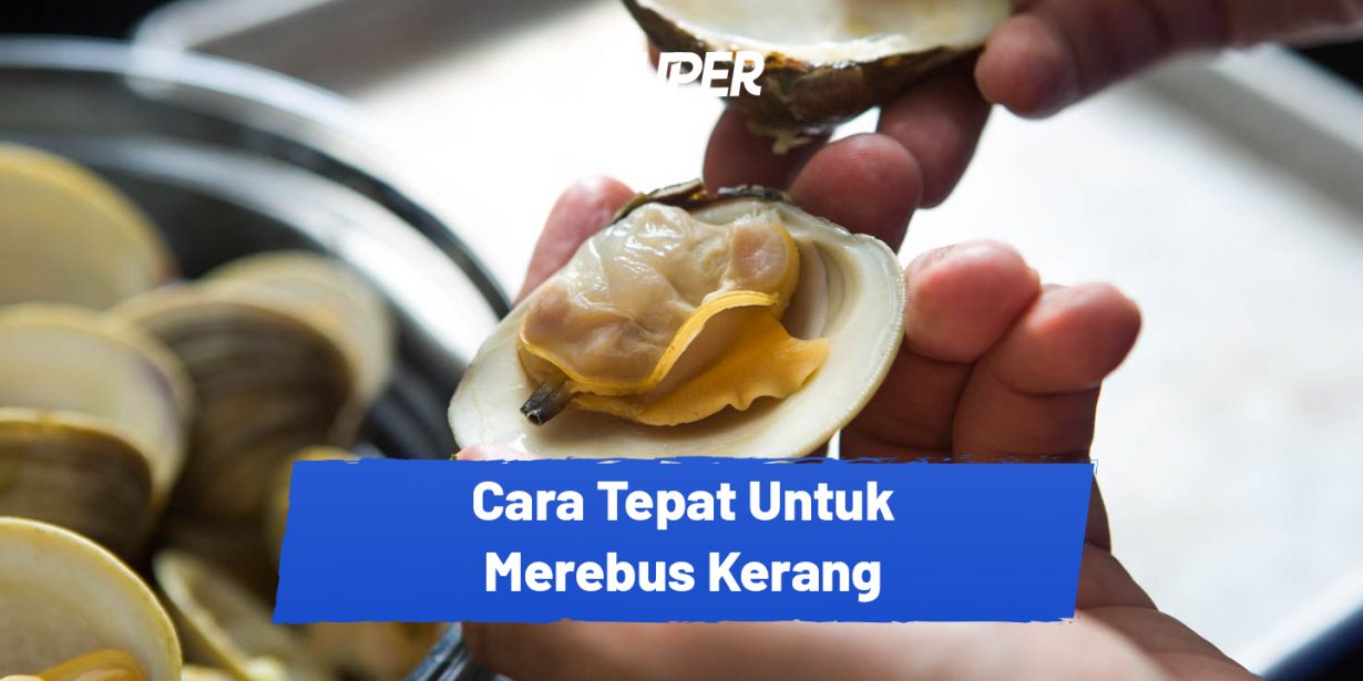 Cara Mudah Merebus Kerang Agar Cepat Terbuka