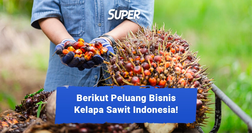 Peluang Bisnis Kelapa Sawit Di Indonesia, Ini Buktinya!