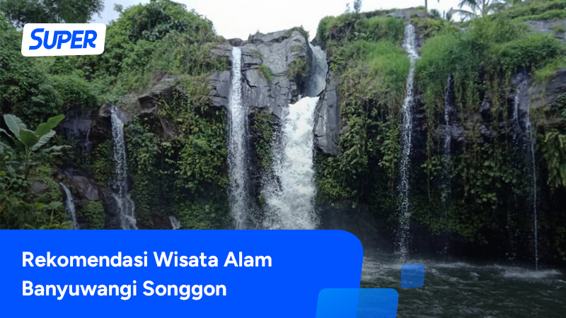 wisata banyuwangi songgon