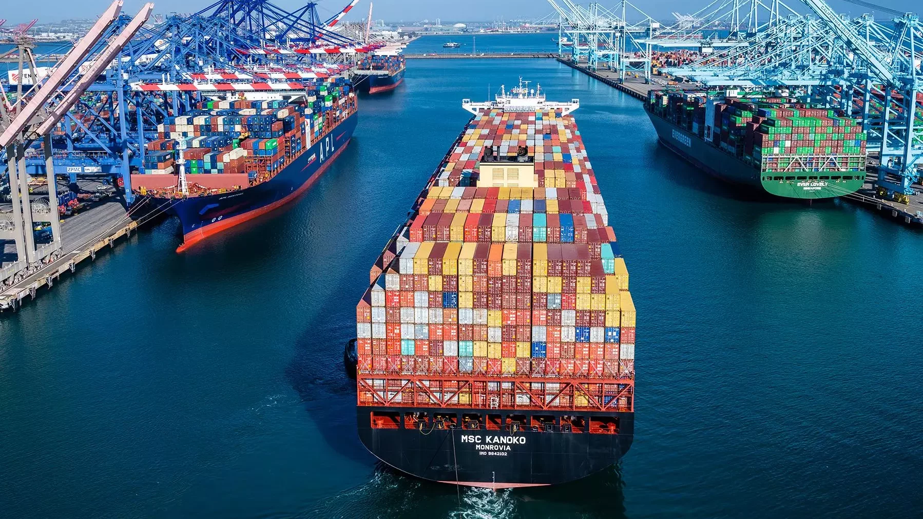 cargo peti kemas impor ekspor
