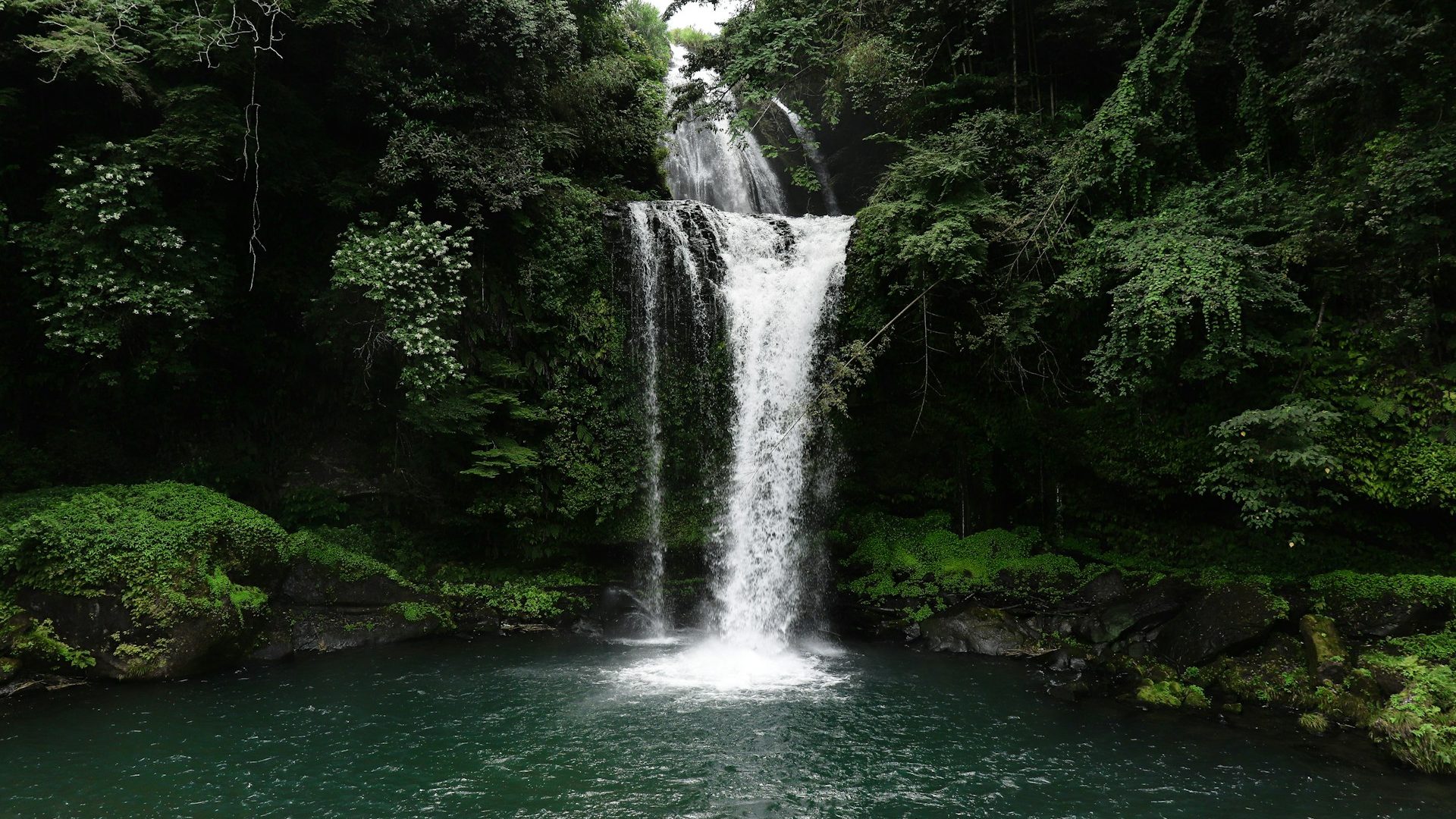 air terjun wonosalam